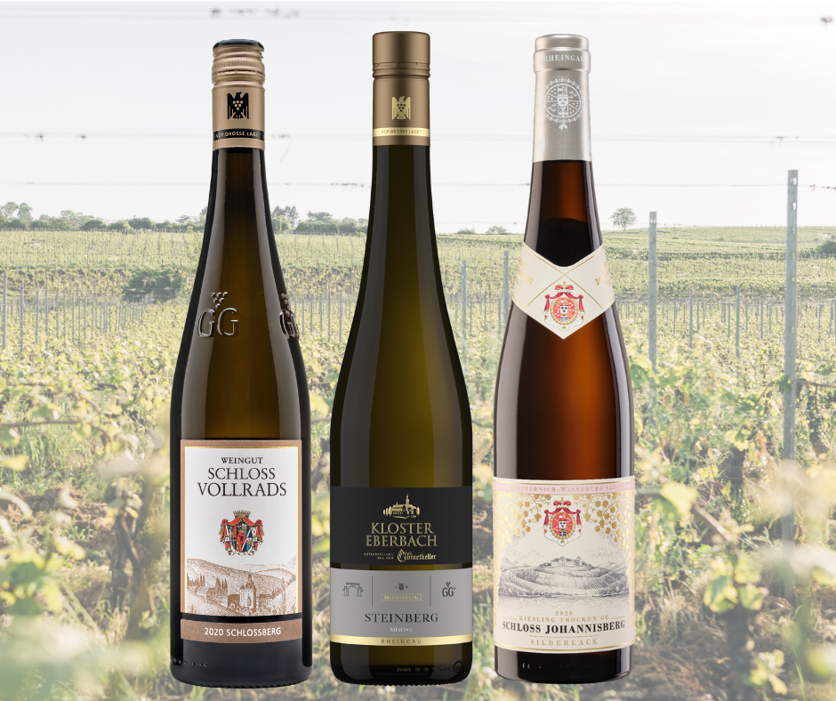 Riesling Monumente - Schatzkammerkiste des Rheingaus