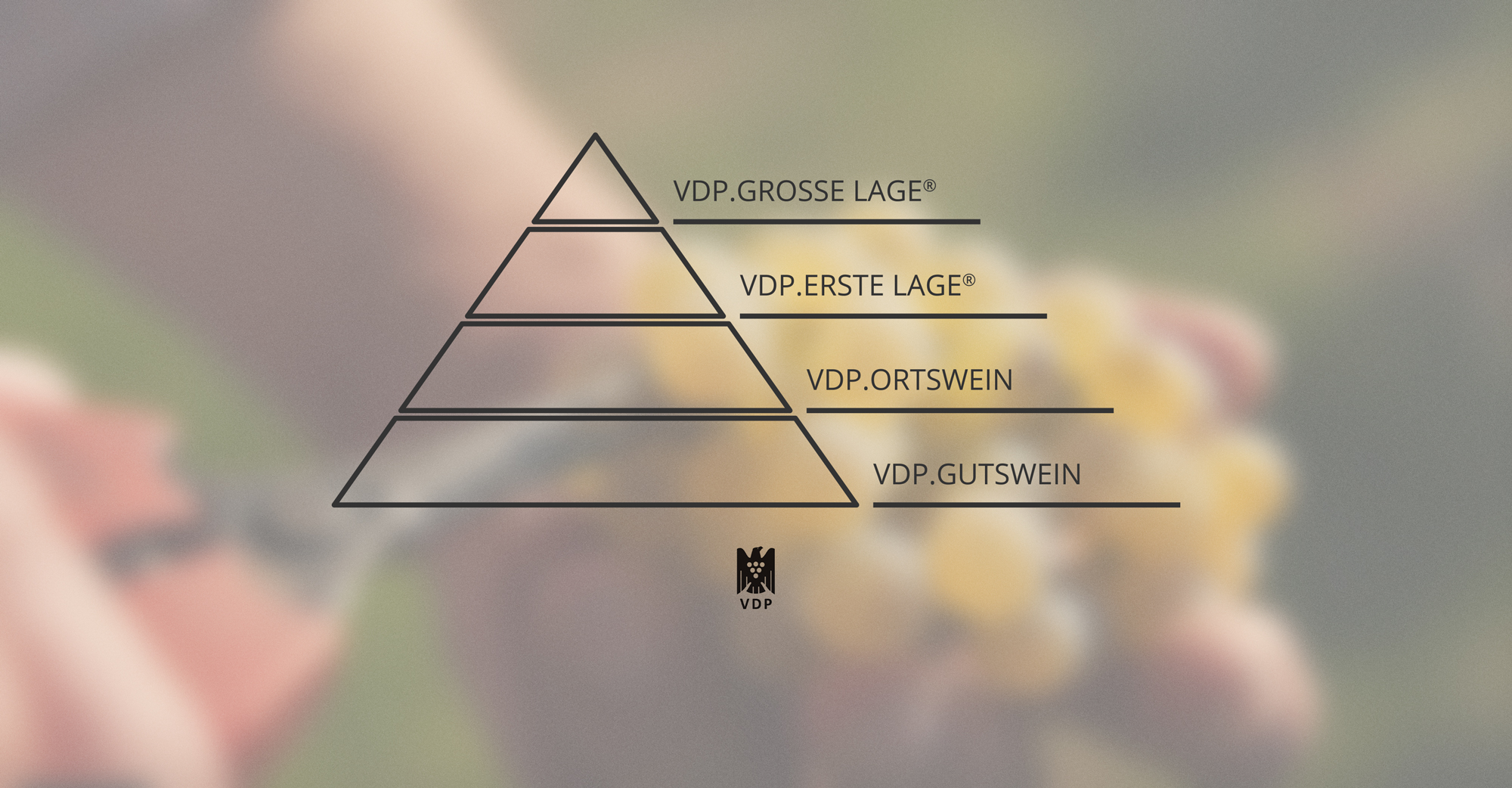 VDP Klassifikation